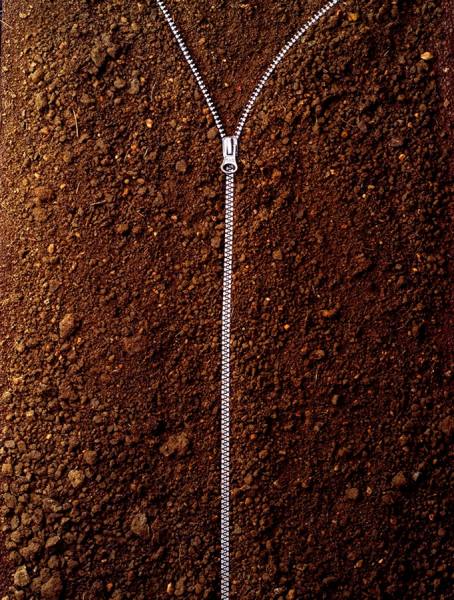 Photograph Steve Nozicka Mud Zipper on One Eyeland